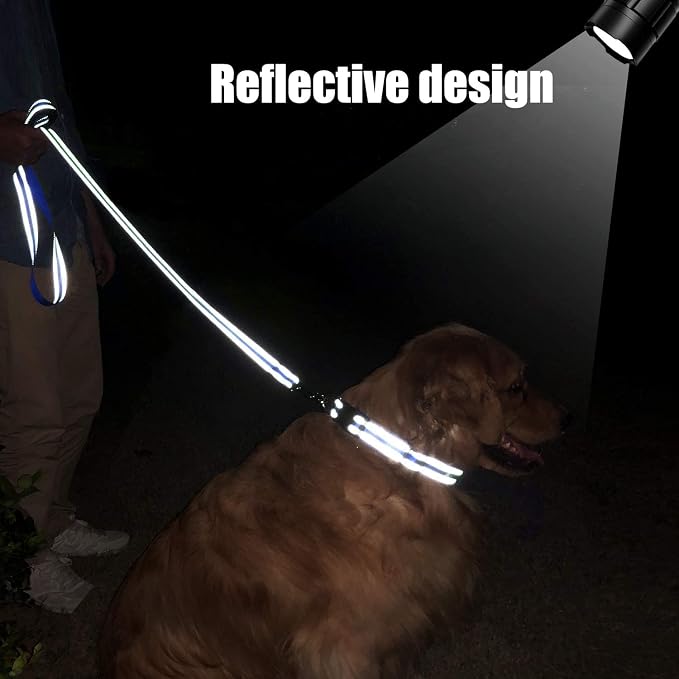 FunTags 4FT Royal Blue Reflective Dog Leash for Large & Medium Dogs Training, Soft Padded Handle Comfortable Grip, Heavy Duty Nylon, Reflective for Night Walking, 1in Wide