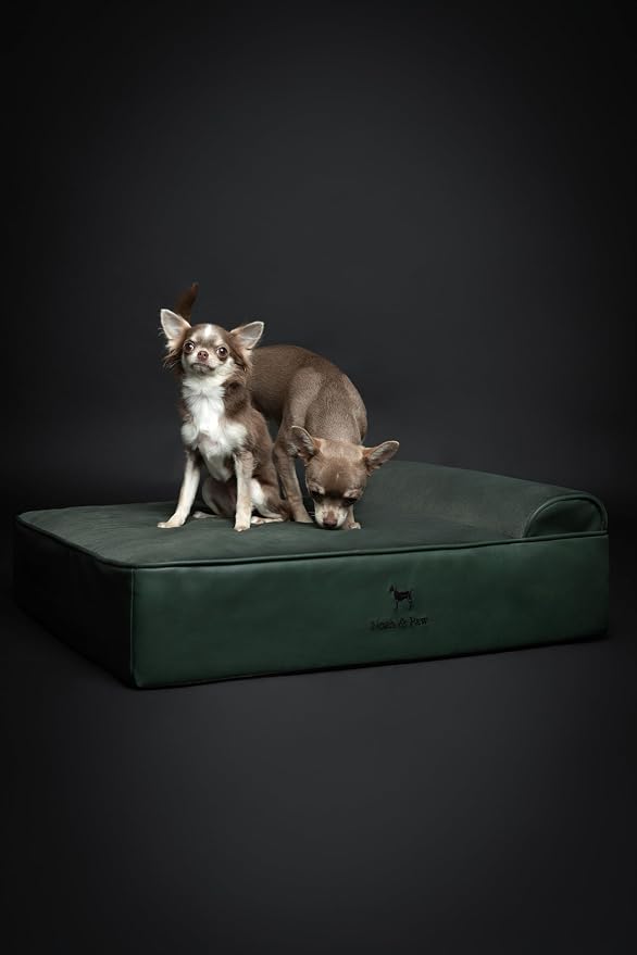 NOAH & PAW Dog Bed, 28x23x7.5 Inch, Orthopedic Dog Beds for Medium Size Pets, Eggshell Memory Foam Infused with Cooling Gel, Water Resistant, Machine Washable, Includes Inner Cover (Faux Leather)