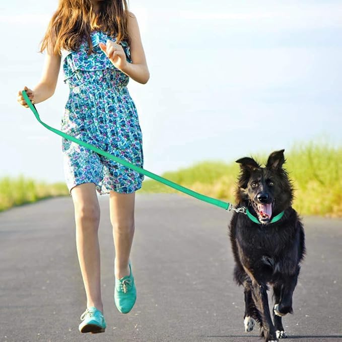 FunTags 4FT Turouoise Reflective Dog Leash for Medium & Small Dogs Training, Soft Padded Handle Comfortable Grip, Heavy Duty Nylon, Reflective for Night Walking, 3/4in Wide