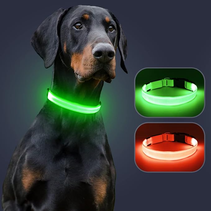 Light Up Dog Collar, Rechargeable USB Collar, Waterproof, Luminous LED Collar, Adjustable, Super Bright, Night Walking for Small Medium Large Dogs, Green, M