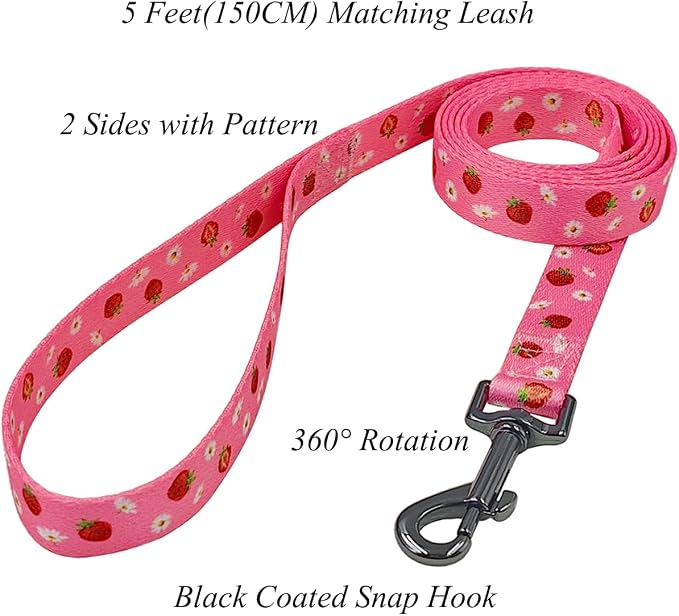 Dog Collar Leash Set, Floral Pattern, Polyester Material, Adjustable Collar and 5ft Matchcing Leash, for Large Dogs.(L, Daisy and Strawberry)