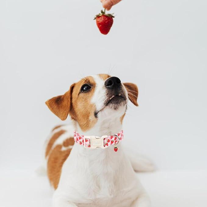 Strawberry Dog Collar Summer Pink Girl Dog Collars for Medium Dogs - Lightweight Adjustable Cute Female Dogs Everyday Collar with Safety Buckle M