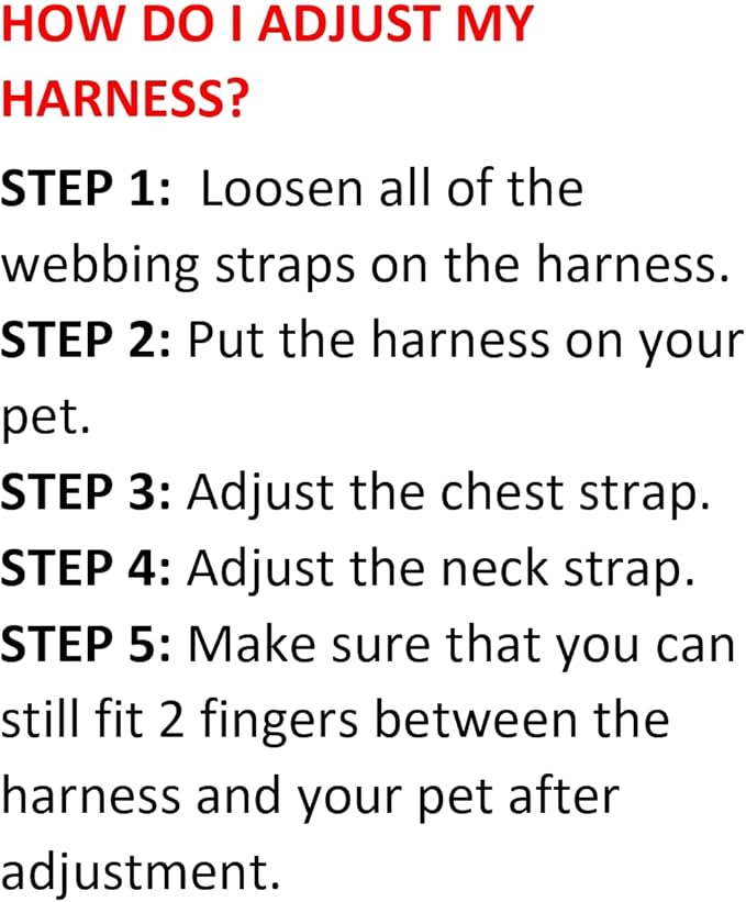 Best Pet Supplies Voyager Step-in Air All Weather Mesh Harness and Reflective Dog 5ft Leash Combo with Neoprene Handle, for Small, Medium and Large Breed Puppies - Baby Blue, Small