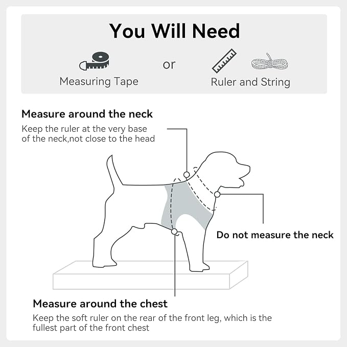 Joytale Small Dog Harness, Breathable Mesh Step-in Vest, Reflective Soft Padded Harnesses for Puppies and Extra Small Dogs, Gray, XS