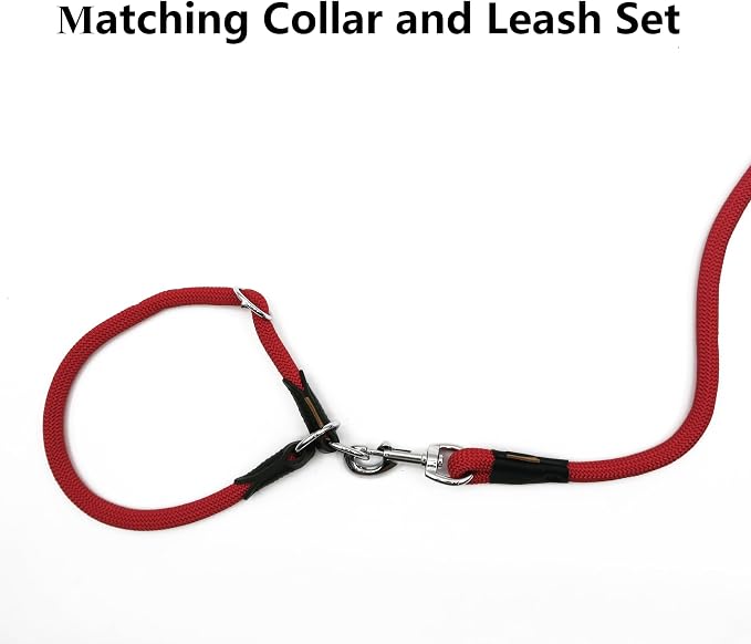 Dog Leash, Braided Rope Traction – Walking Training Lead for Medium/Large Dogs ((1/2") x 6FT, Red)