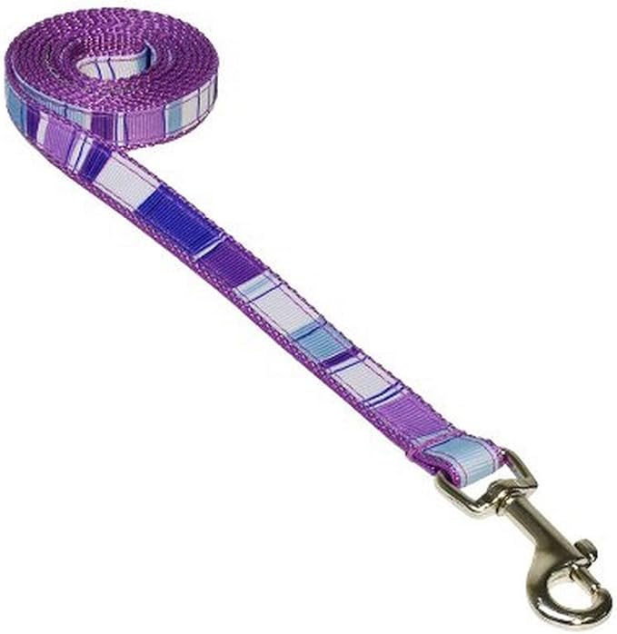 XSmall Purple/Multi Stripe Dog Leash: 1/2" Wide, 4ft Length - Made in USA.
