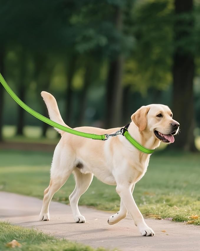 Joytale Dog Collars for Medium Dogs, Comfortable Double-Sided Reflective Nylon Collar for Night Safety, Adjustable Quick-Release for Active Pets, Green, M (1" Width)