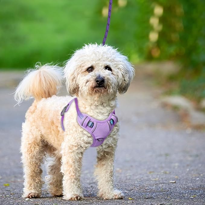 BARKBAY No Pull Dog Harness Large Reflective Dog Harness with Front Clip and Easy Control Handle for Walking Training Running with ID tag Pocket(Lavender Sky,S)