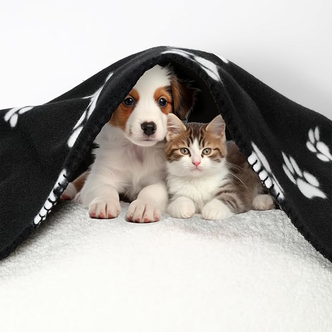 CAI TENG 3 Pack Pet Blankets for Small Dogs Dog Blanket 21x30 Inch Soft Pet Fleece Blanket Warm Puppy Essentials for Bed Cute Paw Printed Throw Dog Black