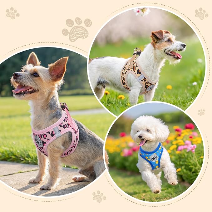 BEAUTYZOO Step in Dog Harness and Leash Set,Reflective Dog Harness No Pull No Choke Puppy Harness for Small Medium Large Dogs Cats,Soft Padded Mesh Vest Harnesses for Girl and Boy Pet,Leopard Pink XS