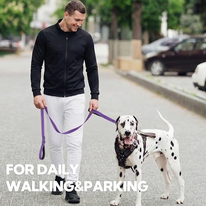 2-Handle Dog Leash Heavy Duty Traffic Control & Night Safety Reflective Lead for Small Mid Large Dogs, Comfort Padded Grip Dog Leashes for Walking and Training(6 FT x 1" Wide Purple+Black)