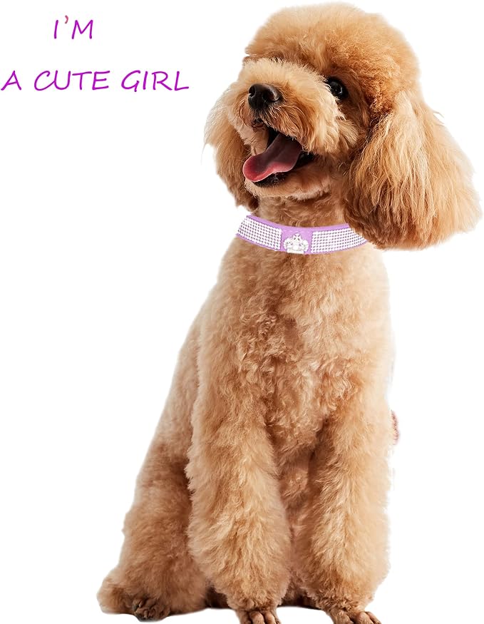 Dog Collar for Small Dogs, Adjustable Leather Suede Bling Dog Collars,Pink Dog Collar Cat Collar, Rhinestone Dog Collar (S, black3)