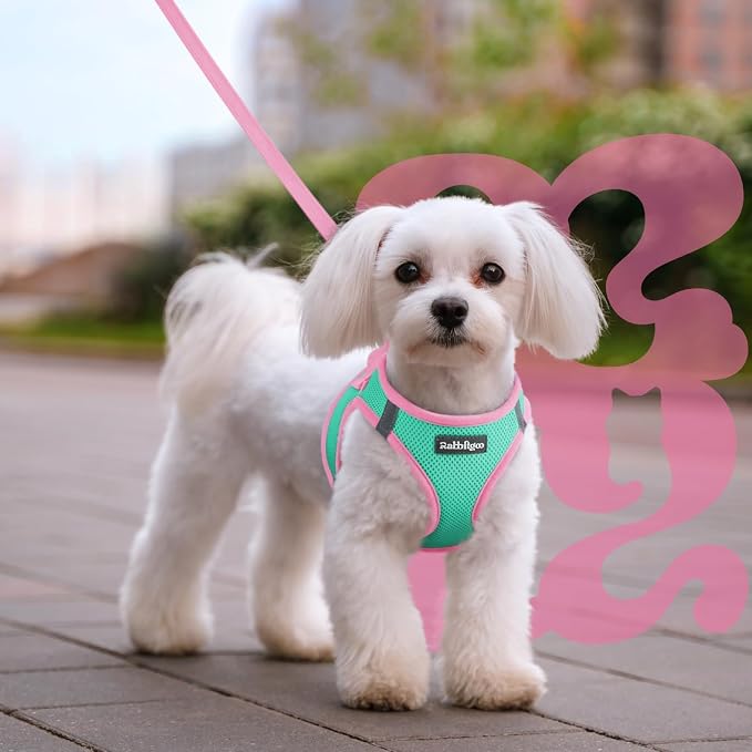 rabbitgoo Dog Harness Small Sized and Leash Set, Step-in Breathable Pet Harness, Soft Walking Reflective Puppy Vest for Small Dogs, Teal & Pink, XXS