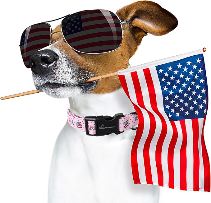 ARING PET 4th of July Collars for Dogs, Fourth of July Pink Patriotic USA Flag Dog Collar for Puppy Small Medium Large Boy Girl Doggy-M