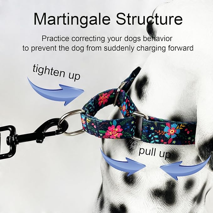Martingale Collar for Dogs Floral Dog Collars for Small Medium Large Dogs with Buckle Adjustable Soft Nylon Dog Collar (Blue Pink Flower, Medium)