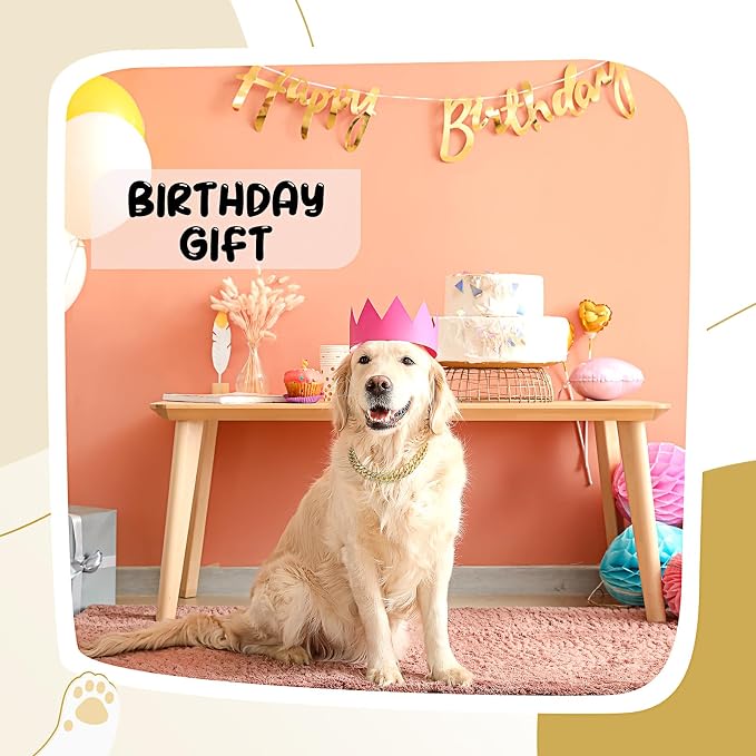 LEIFIDE Dog Chain Collar Diamond Link Puppy Collar 12 mm Wide Dog Necklace Metal Cat Chain Pet Crystal Necklace Jewelry Accessories for Small Medium Large Pet(14 Inch,Gold, AB Color)