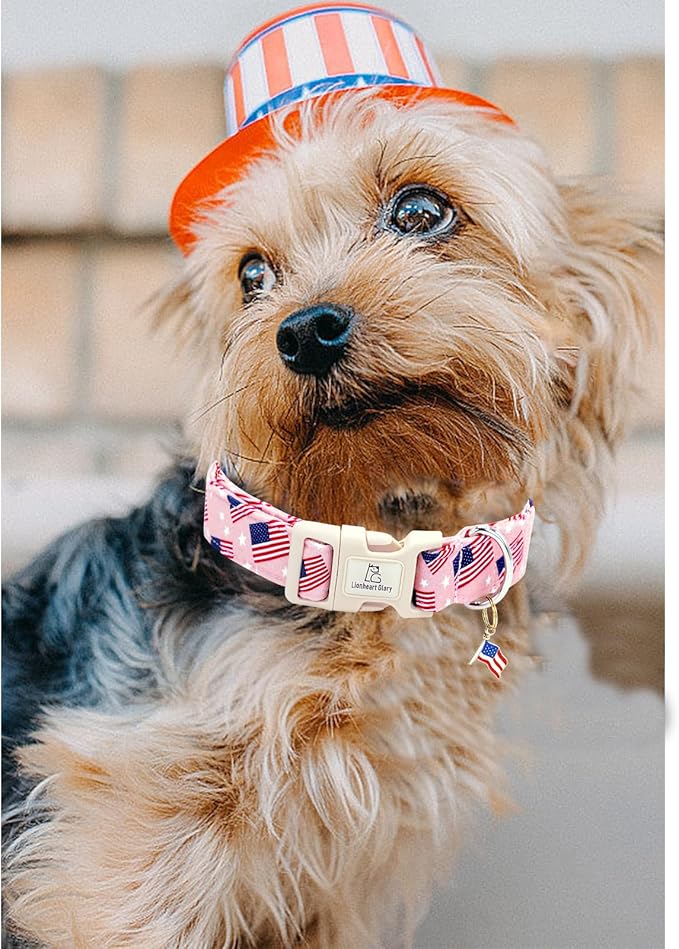 Lionheart glory American Flag Dog Collar, 4 of July Patriotic Independence Dog Collar Heavy Duty Adjustable Collars for Small Dogs Pet Gift Summer Collars