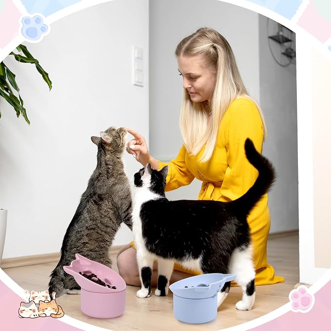 Funnymoom 2 Pack Silicone Cat Slow Feeder, Elevated Slow Feeder Cat Bowl for Dry and Wet Food, Tilted Design with Non Slip Base, Adjustable Angle for Pet(Pink and Blue)