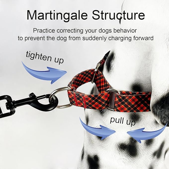 Christmas Martingale Collar for Dogs Plaid Dog Collars for Small Medium Large Dogs with Buckle Adjustable Soft Nylon Dog Collar (Red Plaid, Medium)