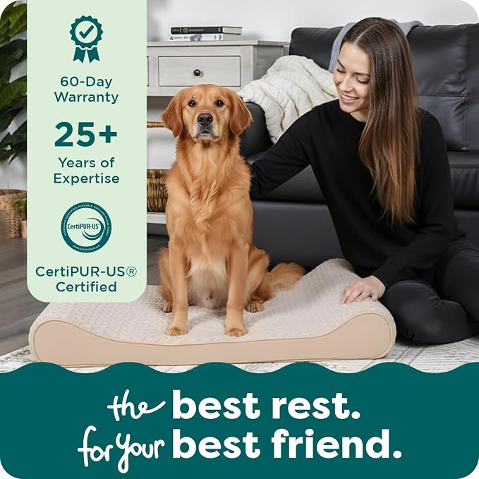 FurHaven Orthopedic Dog Bed for Large Dogs, Luxe Lounger Contour Mattress with Solid Orthopedic Foam Slab for Joint Support, Removable Washable Cover, Jumbo XL, Plush Suede, Cream