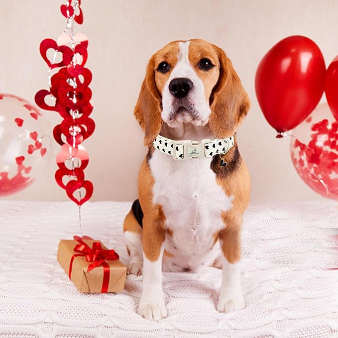 Lionheart glory Valentine's Dog Collar-Hearts Print Dog Collar for X-Small Cute Dog Collars Spring Female Male Pet Gift Adjustable Heavy-Duty Puppy Collar Holiday