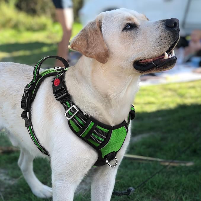 rabbitgoo Dog Harness for Large Dogs, 3 Buckles Easy On & Off No Pull Pet Vest, Soft Padded Walking Pet Harness with Control Handle, Adjustable and Reflective, Green, L