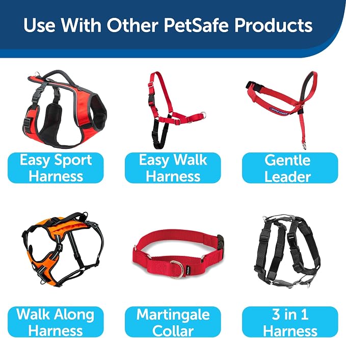 PetSafe Nylon Dog Leash Strong, Durable, Traditional Style Lead with Easy to Use Bolt Snap for Small, Medium and Large Dogs 3/8" x 6', Red