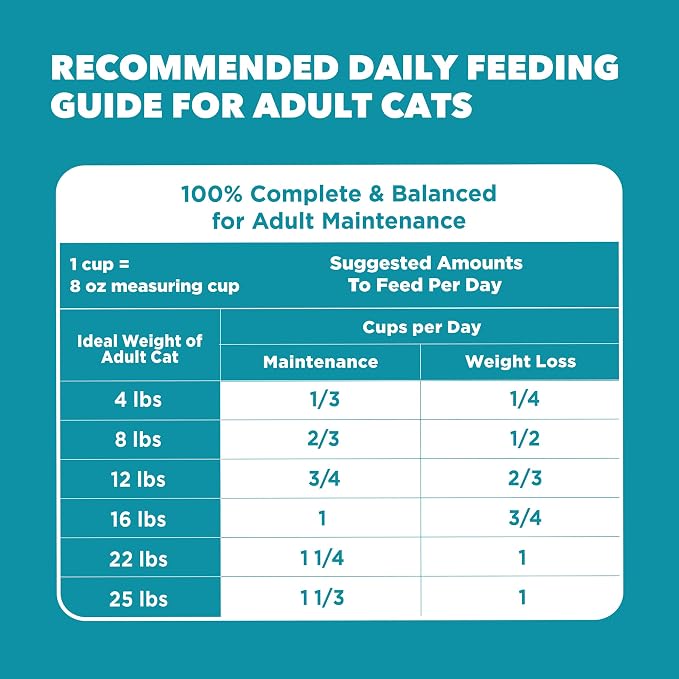IAMS Proactive Health Dry Cat Food, Indoor Weight and Hairball Care Cat Food Dry Recipe, with Salmon, 7 lb. Bag