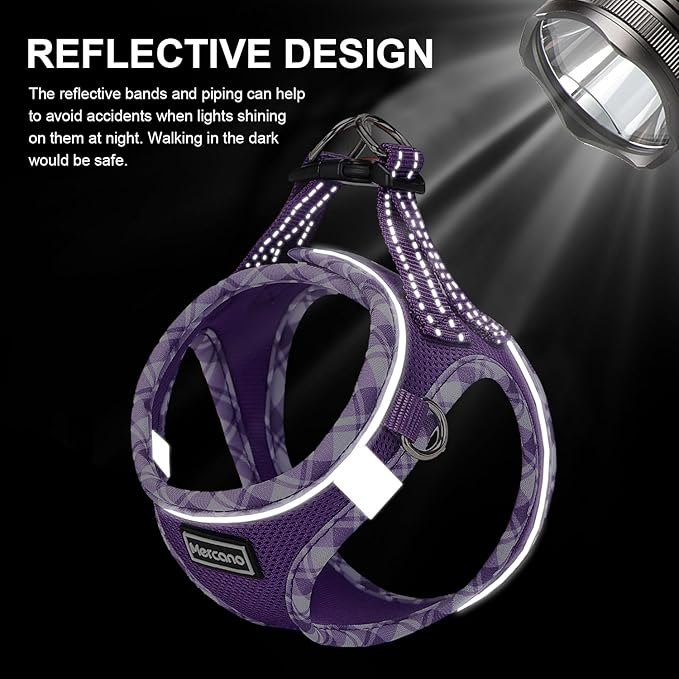 Mercano Soft Mesh Dog Harness and Leash Set, Step-in Reflective Breathable Lightweight Vest Harnesses with Safety Buckle for Small Dogs, Cats (XXS, Purple)