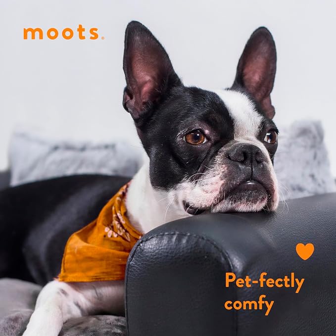 Moots Premium Leatherette Pets Sofa, Black/Charcoal, Medium/Large