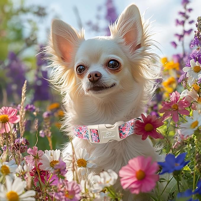 Floral Dog Collar, Cute Girl Dog Collars - Pastel Wildflowers Pattern Spring Summer Puppy Collar, Adjustable Female Dog Collars for Small Medium Large Dogs S