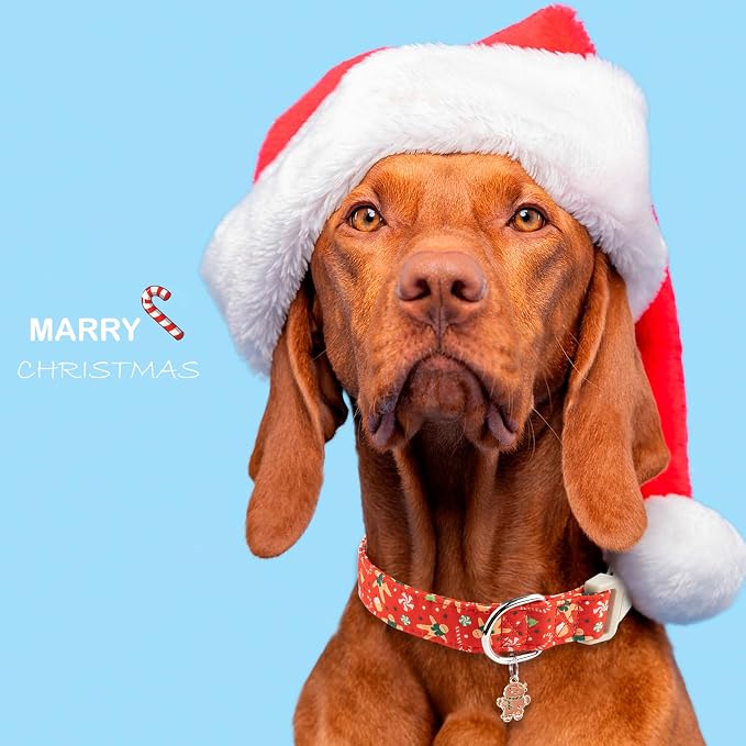 Faygarsle Christmas Dog Collar, Red Gingerbread Pattern, Plastic Buckle with Metal D-Ring, Holiday Pet Accessory, for Small Medium Large Dogs XS