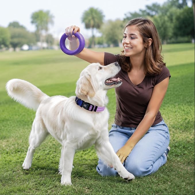 Roses&Poetry Dog Collars for Medium Dogs, Adjustable Durable Pet Reflective Dog Collar for Small Medium Large Dogs(BluePurple-M)