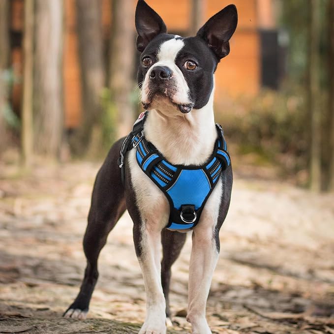 rabbitgoo Dog Harness Small Sized, 3 Buckles Easy On & Off No Pull Pet Vest, Soft Padded Walking Pet Harness with Control Handle, Adjustable and Reflective, Blue, S