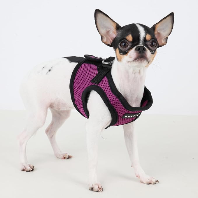PUPPIA International Harness Soft B Vest, X-Small, Purple