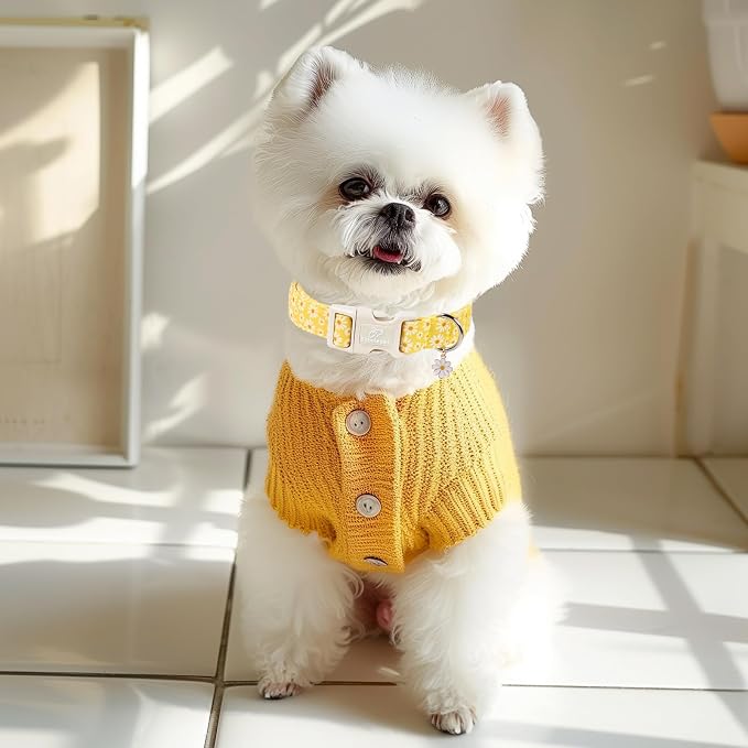 Yellow Daisy Dog Collar Cute Summer Dog Collars for Giant Large Dogs - Lightweight Adjustable Girly Floral Female Dogs Everyday Collar with Safety Buckle XL