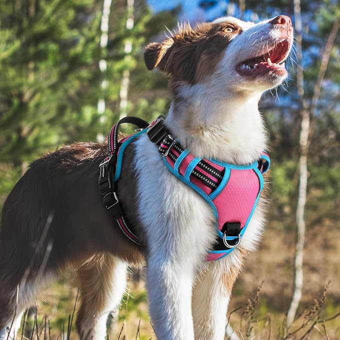 rabbitgoo Dog Harness Medium Sized, 3 Buckles Easy On & Off No Pull Pet Vest, Soft Padded Walking Pet Harness with Control Handle, Adjustable and Reflective, Rose Pink & Blue, M