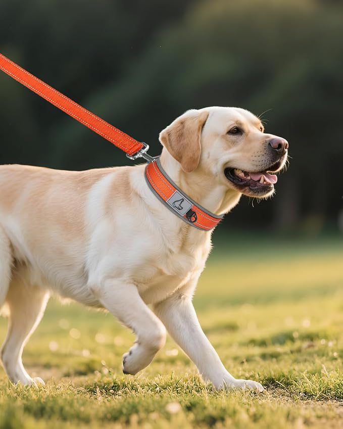 Joytale Dog Collar for Large Dogs, Neoprene Padded and Adjustable, Reflective Wide Heavy Duty Pet Collars with Durable Metal Belt Buckle for Walking, Orange, L