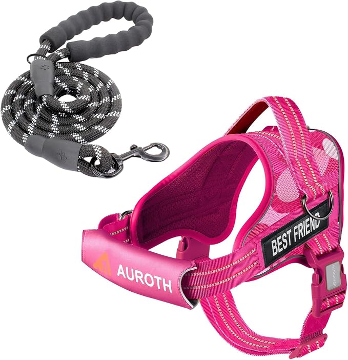 AUROTH Dog Harness and Leash Set, Soft Padded Service Dog Vest with 5.25FT Dog Leash, No Choke, Easy On Pet Vest, Adjustable Reflective No Pull Dog Harness for Large Dogs, Easy Walking and Training