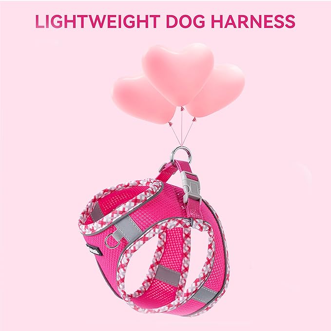 Petank Dog Harness for Small Medium Dogs No Pull, Puppy Harness and Leash Set, Step in Dog Harness for Walking, Running, Training, Small Dog Vest(Green, XXS)