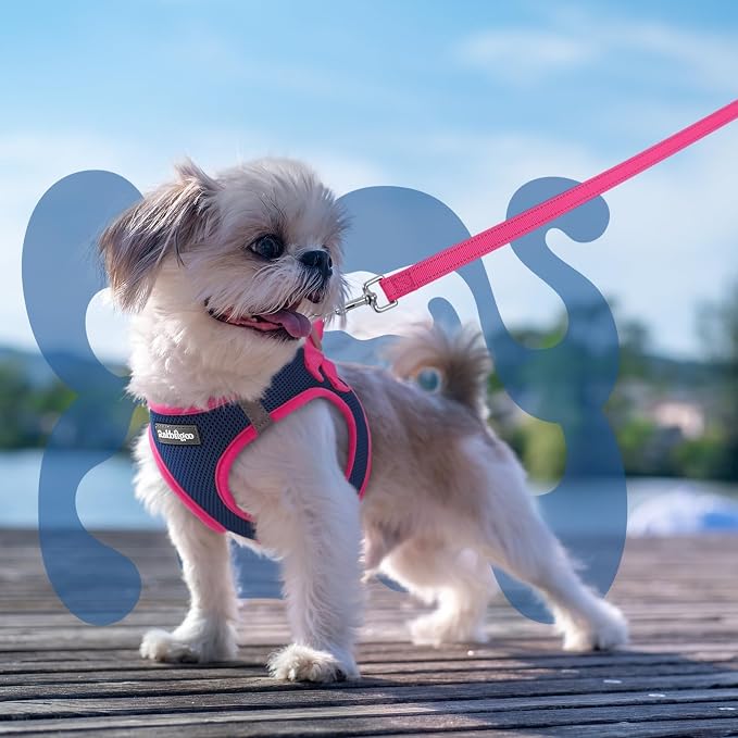 rabbitgoo Dog Harness Small Sized and Leash Set, Step-in Breathable Pet Harness, Soft Walking Reflective Puppy Vest for Small Dogs, Blue & Rose Red, S