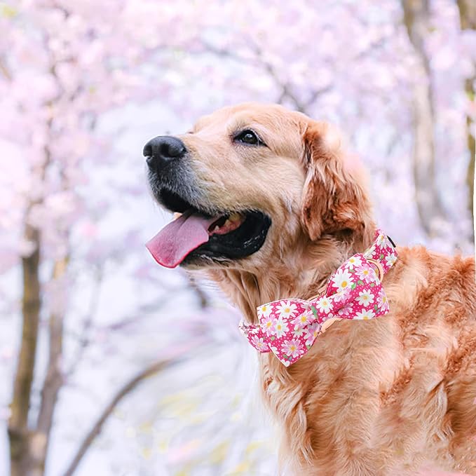 Elegant little tail Dog Collar, Floral Pattern Pet Collars with Bow Girl Cotton Bowtie Collars Spring Puppy Gift Adjustable Pet Collar for Small Dogs