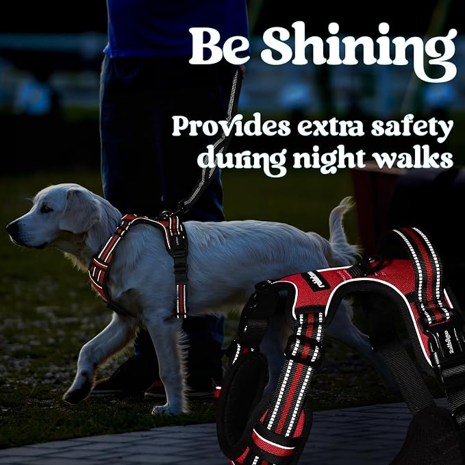 rabbitgoo Dog Harness for Large, No Pull Easy On & Off with 3 Buckles Pet Harness, Adjustable Soft Walking Vest with 2 Clips and Handle, Reflective for Large Dogs, Red, L