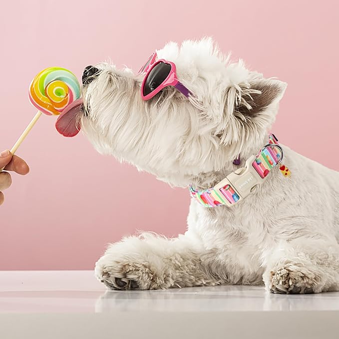 ARING PET Summer Dog Collar - Cute Popsicle Design, Adjustable Multicolor Ice Cream Collar for Small, Medium, Large Dogs