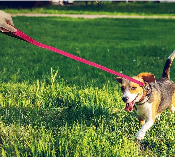 FunTags 4FT Hot Pink Reflective Dog Leash for Medium & Small Dogs Training, Soft Padded Handle Comfortable Grip, Heavy Duty Nylon, Reflective for Night Walking, 3/4in Wide