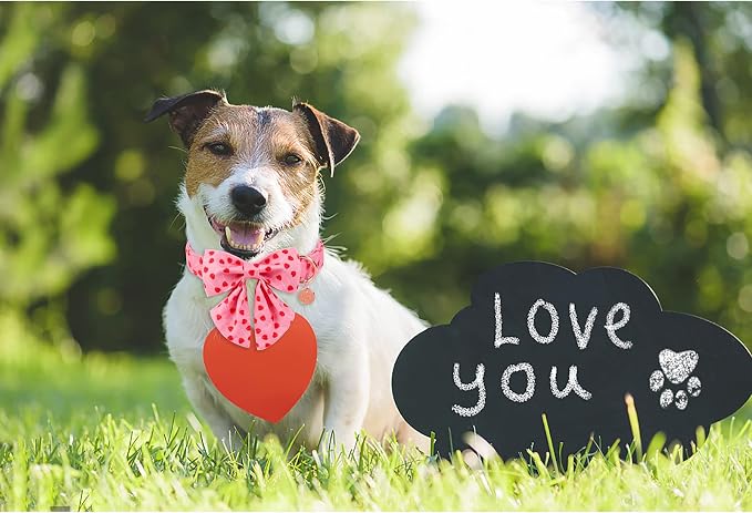 Valentine Dog Collar with Bow Tie, XL, Cotton Collar with Durable Metal Buckle, Red Heart, Neck 16-26in