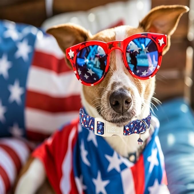 4th of July Dog Collar Patriotic Popsicle Dog Collars for Giant Large Dogs - Lightweight Adjustable Navy Independence Day Puppy Collars Cute Summer Pet Safety Collar XL