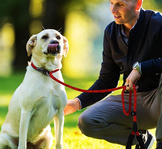 Slip Lead Dog Leash, 6 FT Heavy Duty Dog Leashes, Durable Training Rope Slip Leash with Comfortable Padded Handle and Highly Reflective Threads for Small Medium and Large Dogs, (Red)