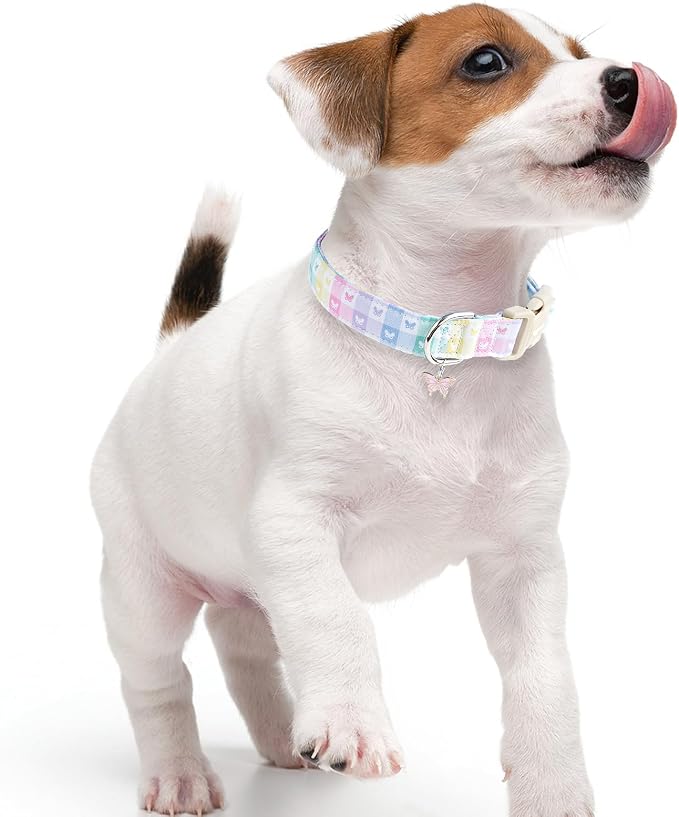 Faygarsle Pastel Butterfly Print Dog Collar, Adjustable with Quick-Release Buckle, Lightweight Summer Design for Small Medium Large Dogs Colorful M