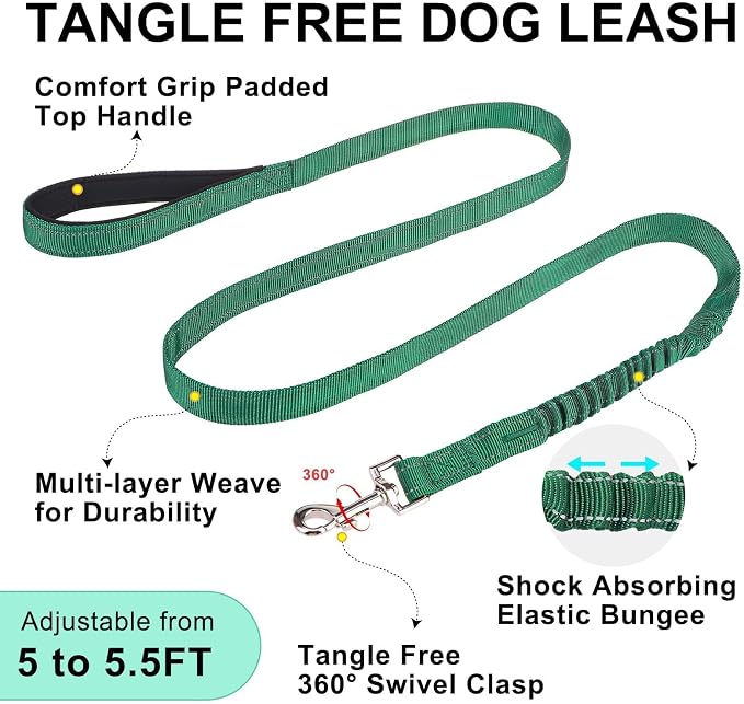 BEAUTYZOO Dog Harness for Small Dogs, No Pull Dog Harness and Leash Set, Soft Escape Proof Puppy Vest Harness with Handle, Reflective Lightweight Step in Harness for Girl Boy Dogs, Green XS